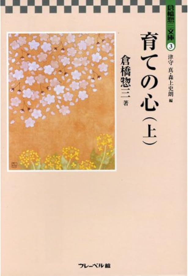 ※1箇所破れあり 日本幼稚園史 倉橋惣三 新庄よしこ フレーベル館 昭和 資料 1箇所破れあり 日本幼稚園史 倉橋惣三 新庄よしこ フレーベル館 昭和 資料