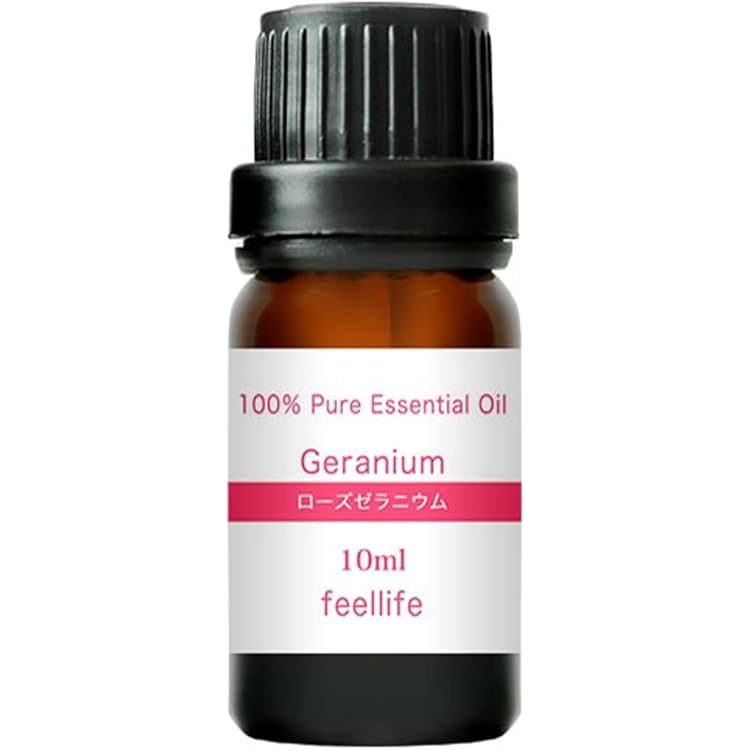 Amazon.co.jp: ユーカリシトリオドラ レモンユーカリ ユーカリレモン