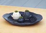 苔盆栽 モスモス  モスドリ白　モスドリ 黒 コトリ 黒 炭化焼締器セット