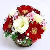 シーズナルアソート・アレンジ 赤系