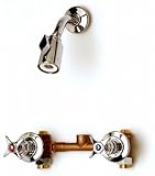 T&S Brass B-1060 Mixing Valve with Adjustable Shower Head, 1/2-Inch NPT Female Inlets and Top Outlet