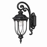 Acclaim 2202BK Laurens Collection 1-Light Wall Mount Outdoor Light Fixture, Matte Black [並行輸入品]