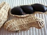 ポリフェノールを多く含む　黒ピーナッツ　12粒