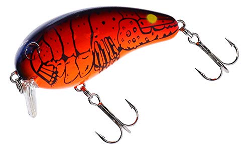 ��10%OFF�ۥ�����(Daiwa)����󥯥٥��ȥԡ��ʥå�IISSR��С����������륢��