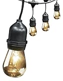 Feit Electric 72041 30' 10-Socket, 15 Bulbs, Outdoor String Light Set by Feit Electric