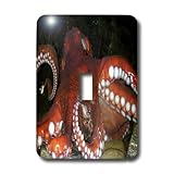 3dRose LLC lsp_2846_1 Octopus, Single Toggle Switch