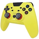 Switchコントローラー RegeMoudal ジャイロセンサー搭載 TURBO機能付き プ...