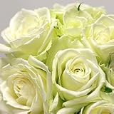 バラの1輪花束　スマートBOX入り 全５色 1本バラ 1本花束 一輪バラ １輪バラ バラ一輪 バラ1輪 化粧箱入り (白) バレンタイン