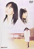 DRAMAGIX SEIYU ENERGY Flower Snow~フラワースノー~ [DVD]