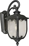 Forte Lighting 1819-01-04 Exterior Wall Light with Clear Seeded Glass Shades, Black [並行輸入品]