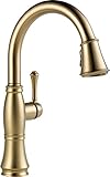 Delta Faucet 9197-CZ-DST Cassidy, Single Handle Pull Down Kitchen Faucet, Champagne Bronze [並行輸入品]