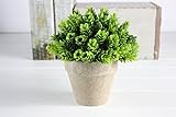 Kooyi 光触媒 インテリア グリーン フェイクグリーン 人工観葉植物 鉢植え (ラッキー, グリーン)