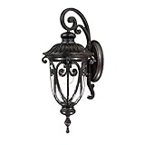 Acclaim 2112MM Naples Collection 1-Light Wall Mount Outdoor Light Fixture, Marbleized Mahogany [並行輸入