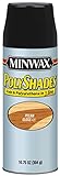 Minwax 31420 Gloss Pecan Stain and Polyurethane 10.75-Ounce Spray [並行輸入品]