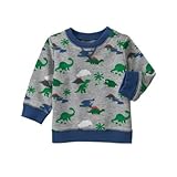 ジンボリー GYMBOREE/ ディノプルオーバー ヘザーグレー トップススウェット 12～18ヶ月【並行輸入】