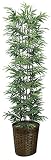 光触媒観葉植物 黒竹1.8(幹：天然黒竹) フロアタイプ ハイサイズ