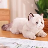 ぬいぐるみ 猫 犬 ポメラニアン 本物そっくり リアル 赤ちゃん ねこのぬいぐるみ 子供のための柔らかいおもちゃ ネコ リアル 抱き枕 お祝い 50cm ふわふわ 写真1 プレゼント ギフトぬいぐるみ 少年 少女 ソファー背当て 癒される
