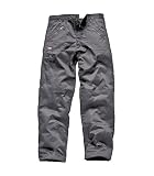 Dickies PANTS メンズ US サイズ: 36 Regular カラー: グレー