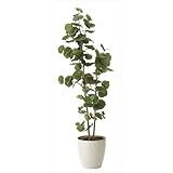 グリーン／観葉植物 シーグレープ sea grape 室内 イミテーショングリーン 人工 造花 植物 大型 160cm 1m60cm 光触媒 おしゃれ グリーン 癒し ギフト プレゼント 消臭 抗菌