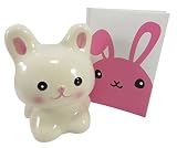 Adorable rabbit bunny Savings Bankセラミックwith Rabbitポケットノートブックジャーナル日記ホワイトピンク( Bundle of 2 )