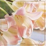 �R�[���X��D��