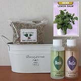レモンバームの栽培セット/豊作セット（液体肥料付き）プランターホワイト仕様