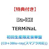 【特典付】 Da-iCE TERMiNaL 【 初回生産限定豪華盤 】(CD+3Blu-ray(スマプラ対応))【特典:ロゴ缶ミラー】