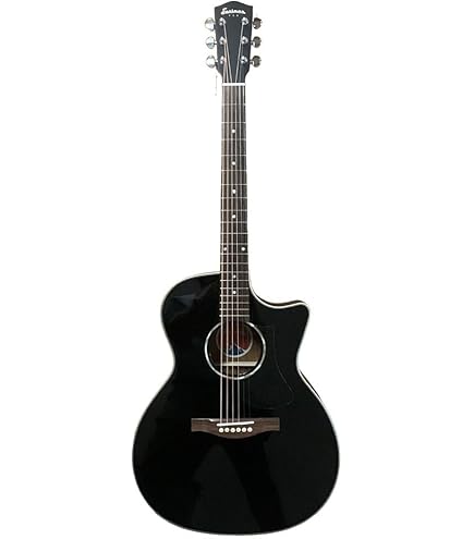 Amazon | イーストマン アコースティックギター EASTMAN Acoustic