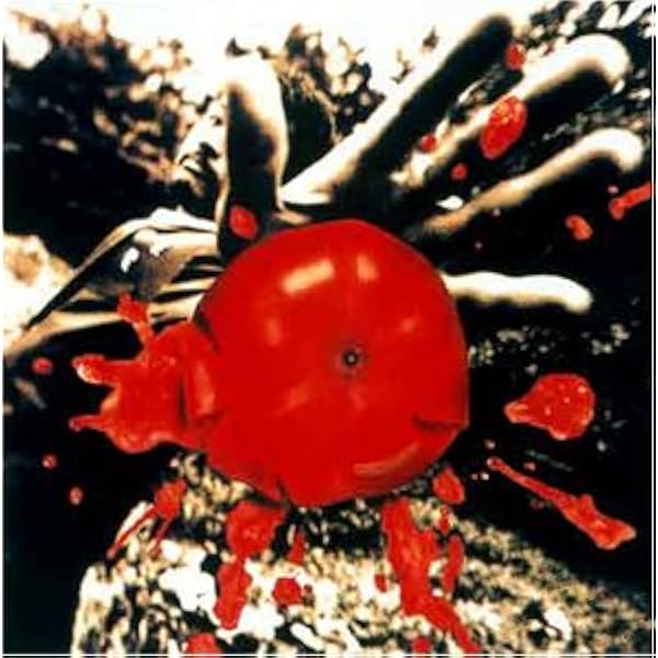 Amazon 孤独の太陽 桑田佳祐 桑田佳祐 小倉博和 片山敦夫 J Pop ミュージック