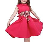 (ウォ２U)Woo2u 春夏 お姫様 女の子 ガールズ 花刺繍 ノースリーブ ショート丈 Aライン カジュアル 入園式 パーティー フォーマル ワンピース 子供洋服 お呼ばれ ドレス 赤色 100