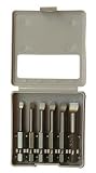 Felo 0715731410 Profi Slotted Bit 6 Piece Box Set, 030 Series [並行輸入品]