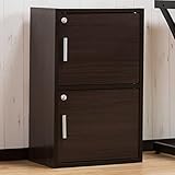 安全・安心 全扉「鍵付き」収納カラーボックス 「ゼウス（2段）」 リビング収納BOX 単独キー ブラウン色