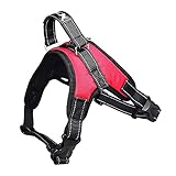 犬用ハーネス＆リーダーセット 犬胴輪 可愛い メッシュ ソフト 束縛感なし 通気性 調節可能 引っ張り防止 小型犬 中型犬 散歩/訓練/お出掛 (M, レッド)