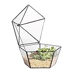 DingDong 現代の芸術的な透明ガラスの宝石箱ペンタゴンの形状多肉植物モンスファン植物ジオメトリックディスプレイプランター卓上センターピーススイング蓋の装飾庭の花瓶