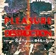 PLEASURE of DESTRUCTION