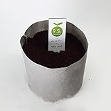 ECO POT 25cm (9.5L) 　50枚セット