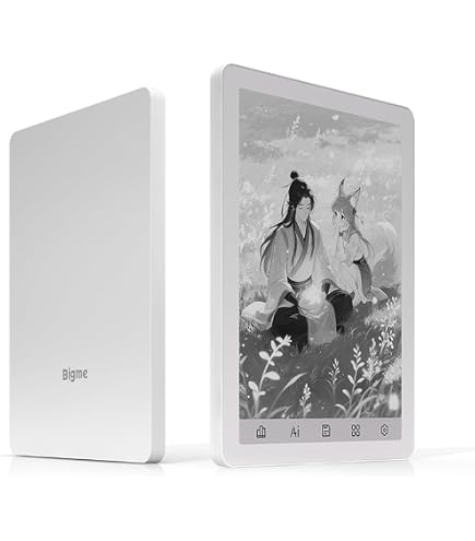 Amazon.co.jp: Bigme B6、カラー電子書籍リーダー、2GB+32GB 6インチ