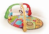 Fisher-Price Luv U Zoo Musical Mirror Activity Gym by Fisher-Price [並行輸入品]