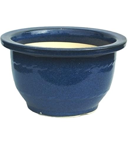 植木鉢　信楽焼　大型　輪型　20号 Amazon | 信楽焼 生子輪型 20号 大型植木鉢 | 鉢