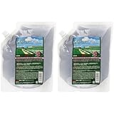 サニープレイス ザクロ精炭酸シャンプー 800ml レフィル (× 2)