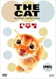THE CAT �`�\�}���`