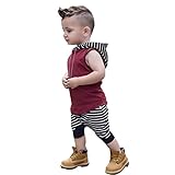 sunbona 2pcs幼児ベビーボーイズファッションストライプフード付きノースリーブベストTシャツトップスショートパンツ服装服セット カラー: レッド
