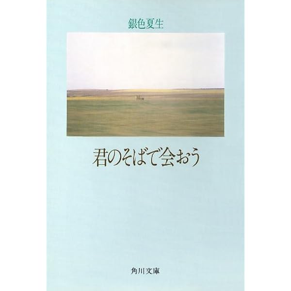 銀色夏生 作品集 21冊セット 銀色夏生の作品一覧 | 幻冬舎