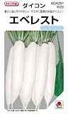 大根 種 【 エベレスト 】 種子 小袋（約10ml）