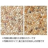 タカショー　ネットストーン　Mタイプ　300×300（ｍｍ）　11枚入り　TNS-703M 三彩