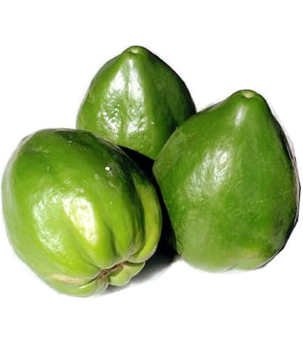 Amazon.co.jp: 沖縄産 青パパイヤ 約1kg（1玉～3玉）ご自宅用 ここち