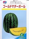 ゴールドマダーボール みかど協和の小玉スイカ種です