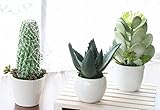 山久カクタスミニポット３個セット1007-6810 【CT触媒加工】【人工観葉植物】【造花】