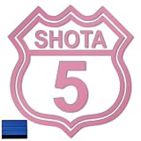 【エンブレム】【スキージー付き】名前ステッカー カッティングステッカー オリジナルステッカー ROUTE66風 文字だけ残る シール デカール 切り文字 オリジナル ステッカー 作成 アルファベット 数字 英字 車 自転車 バイク ポスト 看板 店舗 名前 表札 住所 チーム 屋外 防水 耐候 黒 白