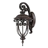 Acclaim 2102MM Naples Collection 1-Light Wall Mount Outdoor Light Fixture, Marbleized Mahogany [並行輸入